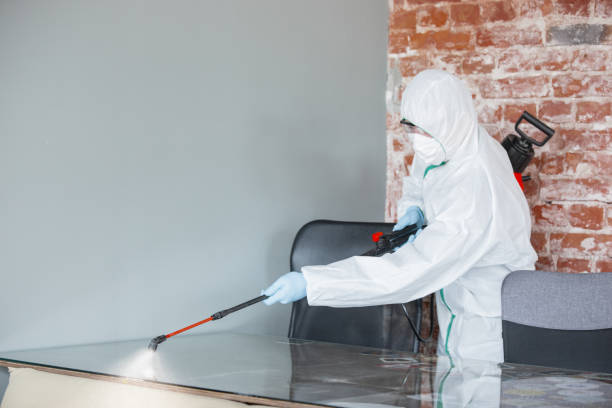 Best Basement Mold Removal  in Forsgate, NJ